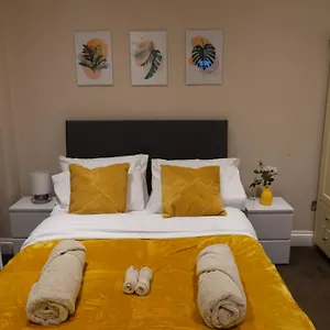  Apartment Modern Stylish